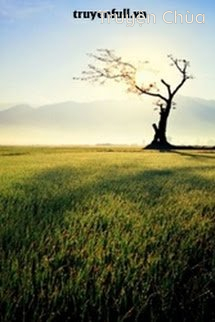 Nhất Lộ – Trầm Giang Nhất